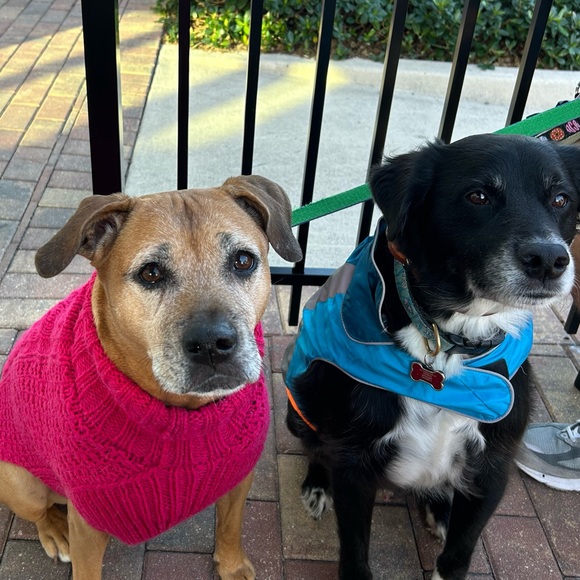 Meet your Posher, Dawn - Picture 11 of 11